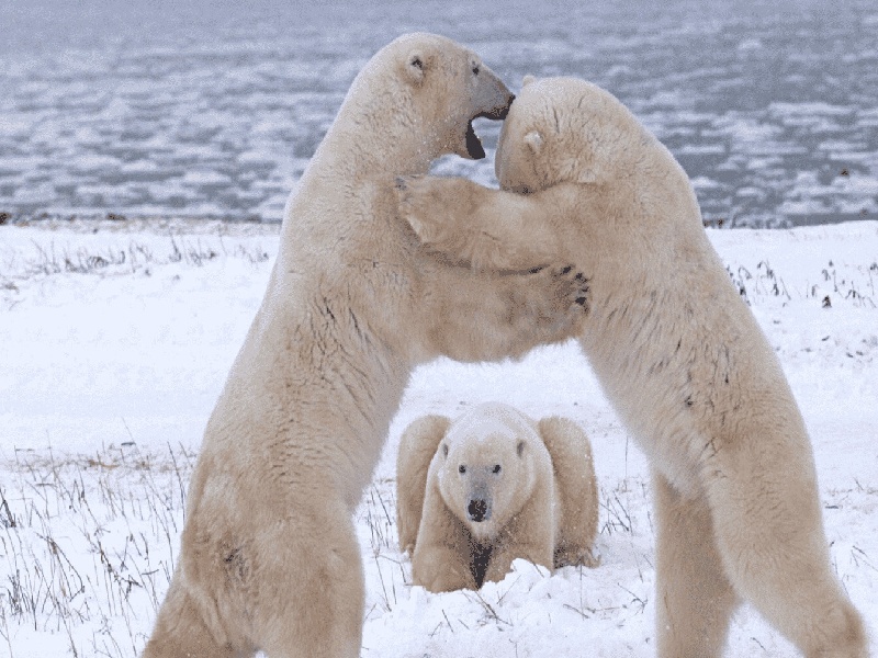 省妇幼试管科（试管移植能用防晒）